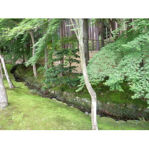 照片 日本(Japan) 京都(Kyoto) 银阁寺(Ginkakuji Temple(Silver Pavilion)) 2010-06 3