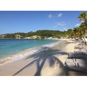 照片 瓜德罗普(Guadeloupe) 卡拉维尔海滩(La Caravelle Beach) 2021-02 100