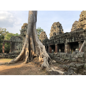 照片 柬埔寨(Cambodia) 暹粒(Siem Reap) 斑黛喀蒂寺(Banteay Kdei) 2023-01 30