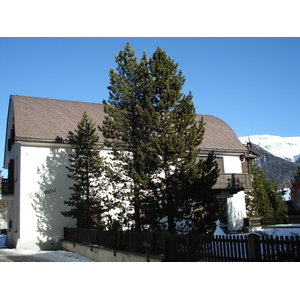照片 瑞士(Switzerland) 切莱里纳(Celerina) 2007-01 24