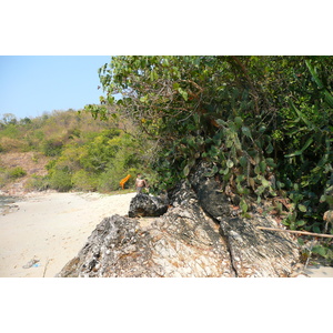 照片 泰国(Thailand) 春武里(Chonburi) 赛乔海滩(Sai Keaw Beach) 2008-01 37