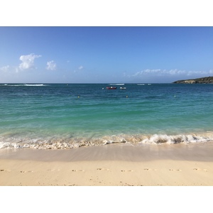 照片 瓜德罗普(Guadeloupe) 卡拉维尔海滩(La Caravelle Beach) 2021-02 120