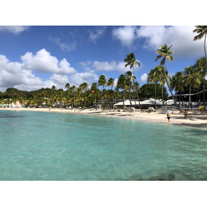 照片 瓜德罗普(Guadeloupe) 卡拉维尔海滩(La Caravelle Beach) 2021-02 48