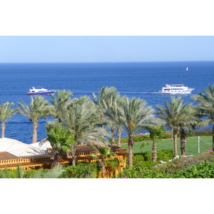 照片 埃及(Egypt) 沙姆沙伊赫(Sharm el Sheikh) 四季酒店(Four Seasons Hotel) 2008-06 17