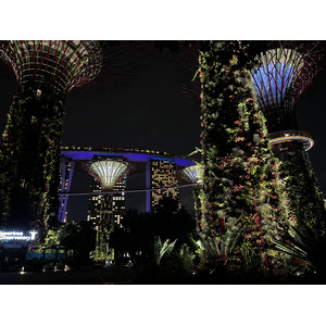 照片 新加坡(Singapore) 滨海湾花园(Garden by the bay) 2023-01 28