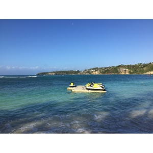 照片 瓜德罗普(Guadeloupe) 卡拉维尔海滩(La Caravelle Beach) 2021-02 82