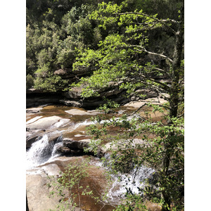 照片 法国(France) 科西嘉岛(Corsica) 艾托内森林(Aitone Forest) 2021-06 29