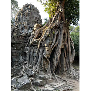 照片 柬埔寨(Cambodia) 暹粒(Siem Reap) 塔松寺(Ta Som) 2023-01 1