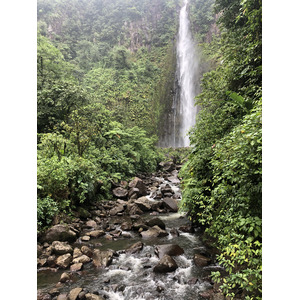 照片 瓜德罗普(Guadeloupe) 卡尔贝瀑布(Carbet Falls) 2021-02 39