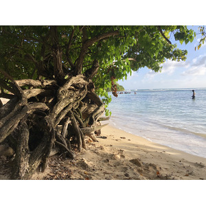 照片 瓜德罗普(Guadeloupe) 小阿弗尔海滩(Petit Havre Beach) 2021-02 17
