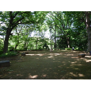 照片 日本(Japan) 东京(Tokyo) 上野(Ueno) 2010-06 27