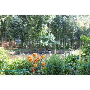 照片 法国(France) 吉维尼(Giverny) 2013-06 50