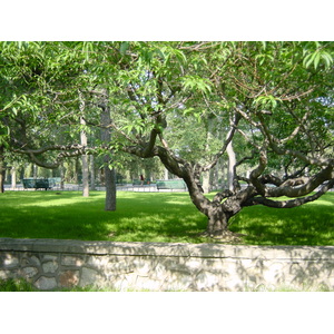 照片 中国(China) 北京(Beijing) 天坛(Temple of Heaven) 2002-05 45