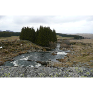 照片 法国(France) 奥布拉克(L'Aubrac) 2008-04 92