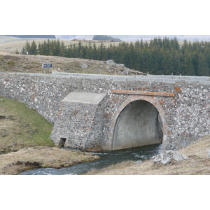 照片 法国(France) 奥布拉克(L'Aubrac) 2008-04 90