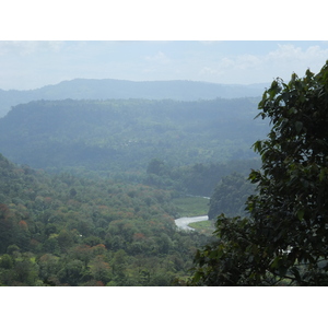 照片 哥斯达黎加(Costa Rica) 图里亚尔瓦(Turrialba) 2015-03 40