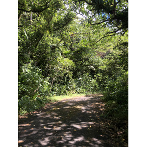 照片 瓜德罗普(Guadeloupe) 大苏弗里耶尔火山(La Grande Soufriere) 2021-02 18