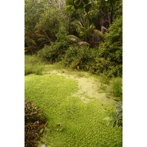 照片 塞舌尔(Seychelles) 拉迪格岛(La Digue) 2011-10 25