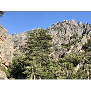 照片 法国(France) 科西嘉岛(Corsica) 雷斯托尼卡山谷(La Restonica) 2020-07 134