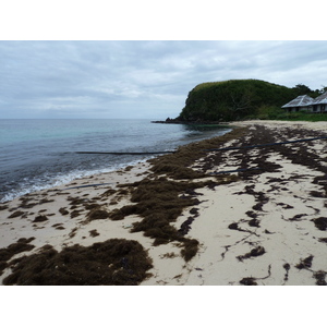 照片 斐济(Fiji) 阿穆努卡岛度假村(Amunuca Island Resort) 2010-05 108