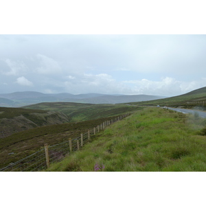 照片 英国(United Kingdom) 凯恩戈姆山国家公园(Cairngorms National Park) 2011-07 137