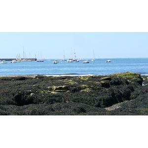 照片 法国(France) 普雷法耶(Prefailles) 圣吉尔达角至拉普雷(La pointe Saint Gildas to La Pree) 2007-08 15