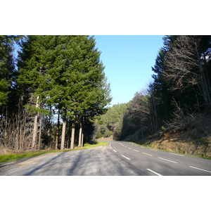 照片 法国(France) 塞文山脉(Cevennes Mountains) 2008-04 91