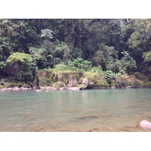 照片 哥斯达黎加(Costa Rica) 帕夸雷河(Pacuare River) 2015-03 4