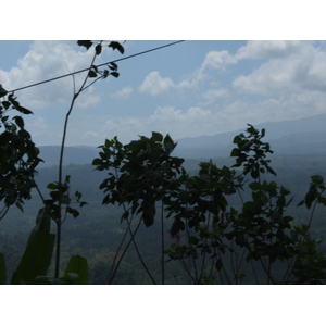 照片 哥斯达黎加(Costa Rica) 图里亚尔瓦(Turrialba) 2015-03 0