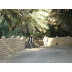 照片 阿联酋(United Arab Emirates) 艾因(Al Ain) 艾因绿洲(Al Ain Oasis) 2005-03 6