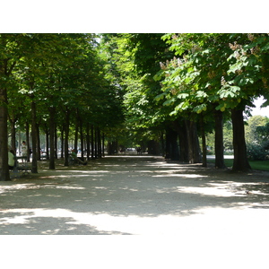 照片 法国(France) 巴黎(Paris) 香榭丽舍大街(Champs Elysees) 2007-05 3