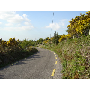 照片 爱尔兰(Ireland) 凯里郡(Kerry) 卡拉湖(Caragh Lake) 2004-05 11