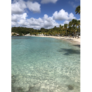 照片 瓜德罗普(Guadeloupe) 卡拉维尔海滩(La Caravelle Beach) 2021-02 3