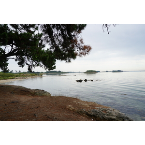 照片 法国(France) 僧侣岛(Ile-aux-Moines) 2016-08 27