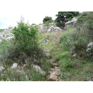 照片 法国(France) 旺斯(Vence) 巴乌山(Baou) 2006-06 8