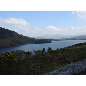 照片 爱尔兰(Ireland) 凯里郡(Kerry) 卡拉湖(Caragh Lake) 2004-05 28