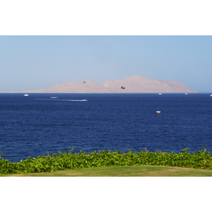 照片 埃及(Egypt) 沙姆沙伊赫(Sharm el Sheikh) 四季酒店(Four Seasons Hotel) 四季酒店海滩(Four Seasons Beach) 2008-06 24