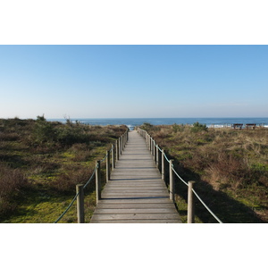 照片 葡萄牙(Portugal) 维亚纳堡(Viana do Castelo) 2013-01 69