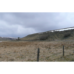 照片 法国(France) 奥布拉克(L'Aubrac) 2008-04 78