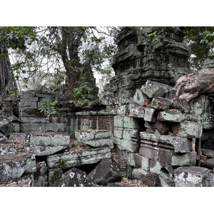 照片 柬埔寨(Cambodia) 暹粒(Siem Reap) 塔布茏寺(Ta Prohm) 2023-01 150