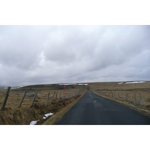 照片 法国(France) 奥布拉克(L'Aubrac) 2008-04 91
