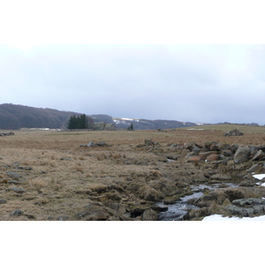 照片 法国(France) 奥布拉克(L'Aubrac) 2008-04 29