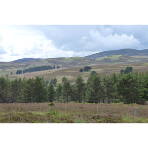 照片 英国(United Kingdom) 凯恩戈姆山国家公园(Cairngorms National Park) 2011-07 7