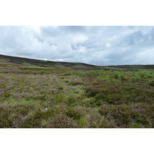 照片 英国(United Kingdom) 凯恩戈姆山国家公园(Cairngorms National Park) 2011-07 17