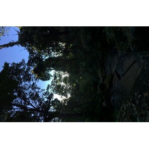 照片 泰国(Thailand) 普欣隆卡国家公园(Phu Hin Rong Kla National Park) 2014-12 130