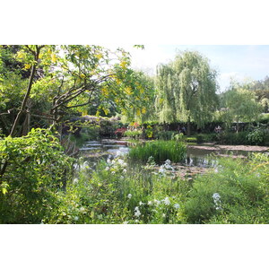 照片 法国(France) 吉维尼(Giverny) 2013-06 171