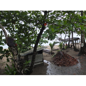 照片 哥斯达黎加(Costa Rica) 塔拉曼卡旧港(Puerto Viejo de Talamanca) 2015-03 133