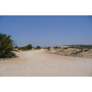 照片 以色列(Israel) 尼灿(Nitzan) 2007-06 85