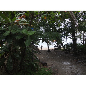照片 哥斯达黎加(Costa Rica) 塔拉曼卡旧港(Puerto Viejo de Talamanca) 2015-03 119