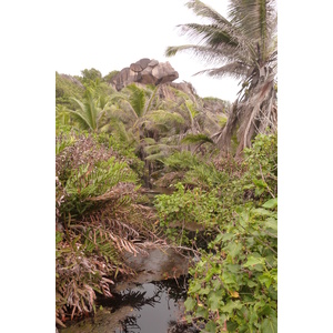 照片 塞舌尔(Seychelles) 拉迪格岛(La Digue) 2011-10 222
